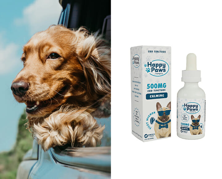 Calming CBD tincture for dogs