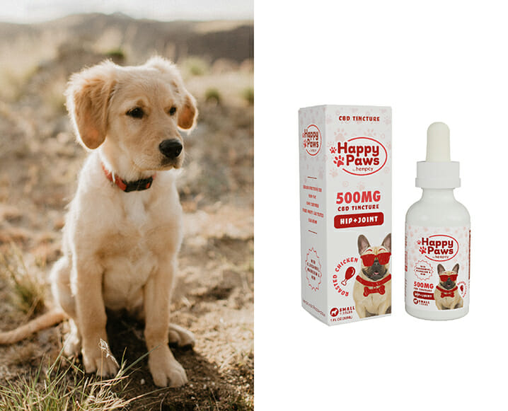 Hip and joint CBD tincture for dogs