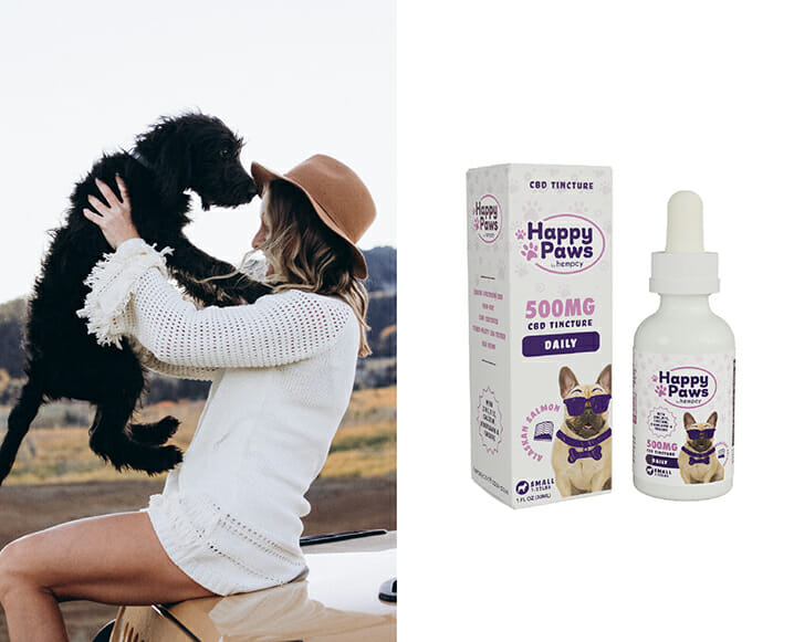 daily CBD tincture for dogs