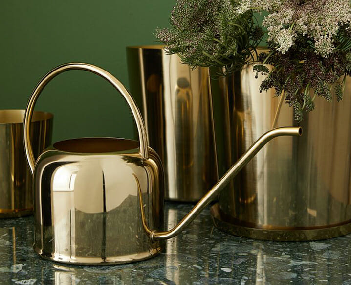 chic watering can